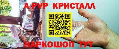 прущие грибы Краснодар