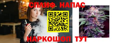 прущие грибы Краснодар