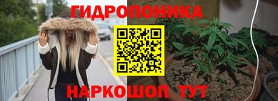 прущие грибы Краснодар
